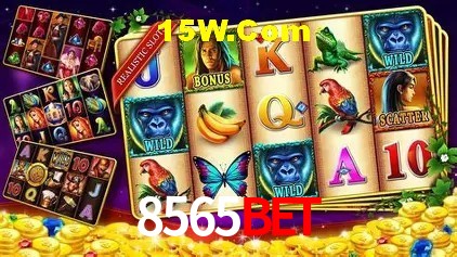 Segurança e performance na plataforma 8565bet